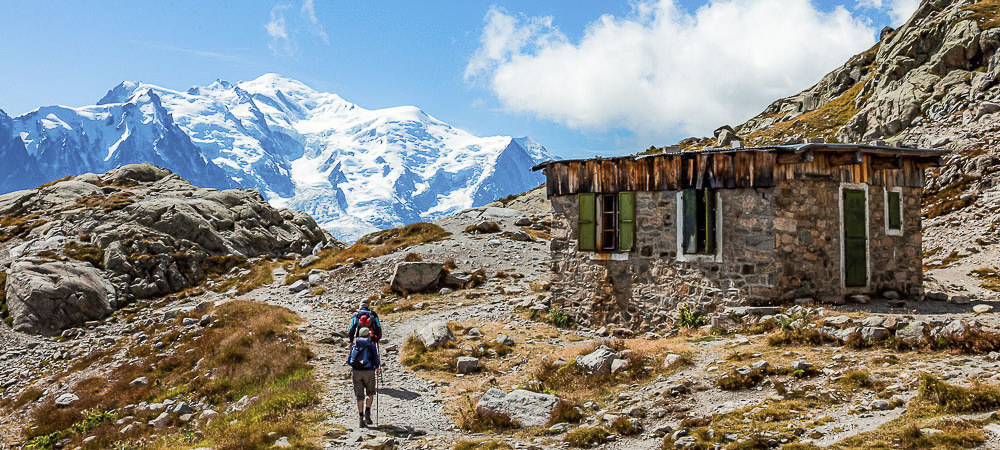 Executive Assessment Partner