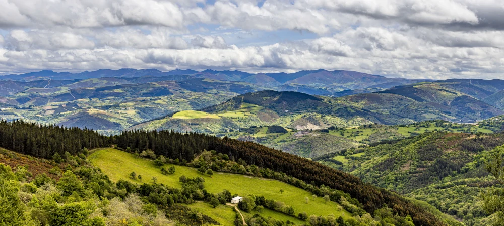 Executive Assessment Partner